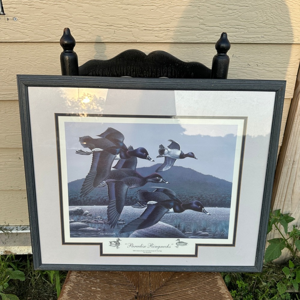 Ken Bucklew Paradise Ringnecks 1993 Indiana Ducks Unlimited Framed Print 21/2000 - Picture 2 of 6